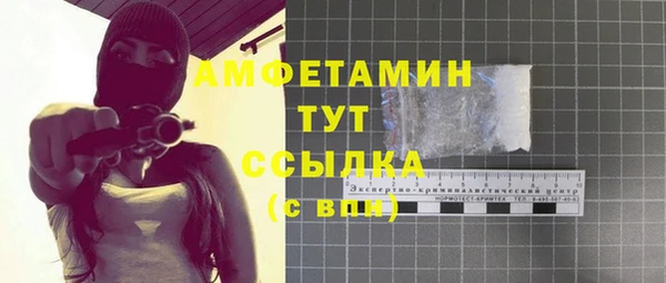 гидра Медвежьегорск