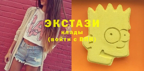 гидра Медвежьегорск