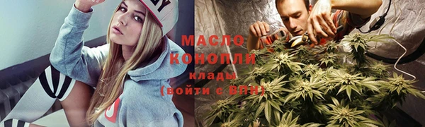 гидра Медвежьегорск