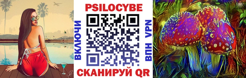 Псилоцибиновые грибы Psilocybine cubensis Бакал