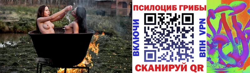 Купить  Бакал  Галлюциногенные грибы мухоморы 